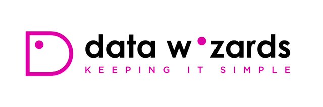 Datawizards Logo (002)